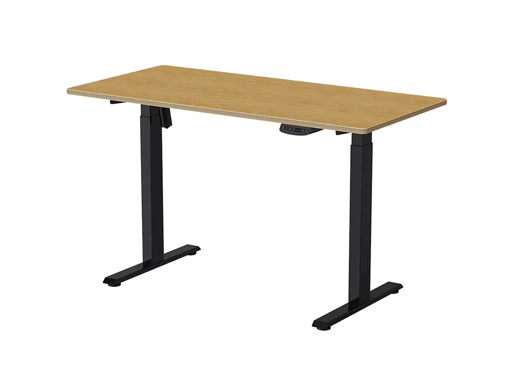 Pavis Bamboo Standing Desk PVS1