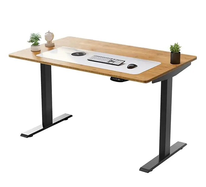 Pavis Bamboo Standing Desk PVS1